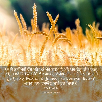 Picture 03 - ਨਹਮਯਾਹ 1:9 PANIRV - ਪਰ ਜੇ ਤੁਸੀਂ ਮੇਰੀ - Bible Verse Picture