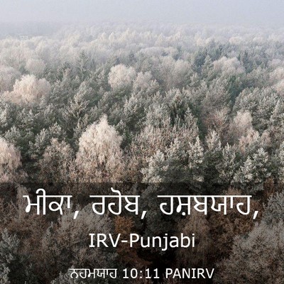 Picture 03 - ਨਹਮਯਾਹ 10:11 PANIRV - ਮੀਕਾ, ਰਹੋਬ, - Bible Verse Picture