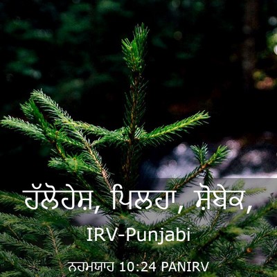 Picture 03 - ਨਹਮਯਾਹ 10:24 PANIRV - ਹੱਲੋਹੇਸ਼, ਪਿਲਹਾ, - Bible Verse Picture