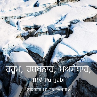 Picture 03 - ਨਹਮਯਾਹ 10:25 PANIRV - ਰਹੂਮ, ਹਸ਼ਬਨਾਹ, - Bible Verse Picture