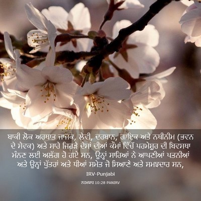 Picture 03 - ਨਹਮਯਾਹ 10:28 PANIRV - ਬਾਕੀ ਲੋਕ ਅਰਥਾਤ - Bible Verse Picture
