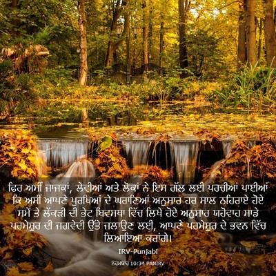 Picture 03 - ਨਹਮਯਾਹ 10:34 PANIRV - ਫਿਰ ਅਸੀਂ ਜਾਜਕਾਂ, - Bible Verse Picture