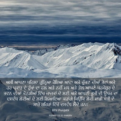 Picture 03 - ਨਹਮਯਾਹ 10:37 PANIRV - ਅਸੀਂ ਆਪਣਾ ਪਹਿਲਾ - Bible Verse Picture
