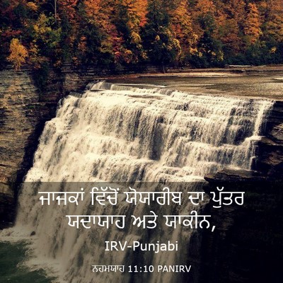 Picture 03 - ਨਹਮਯਾਹ 11:10 PANIRV - ਜਾਜਕਾਂ ਵਿੱਚੋਂ - Bible Verse Picture