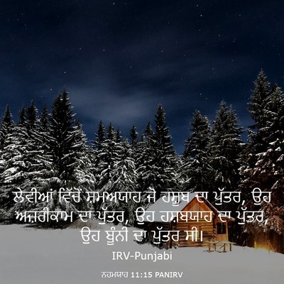 Picture 03 - ਨਹਮਯਾਹ 11:15 PANIRV - ਲੇਵੀਆਂ ਵਿੱਚੋਂ - Bible Verse Picture