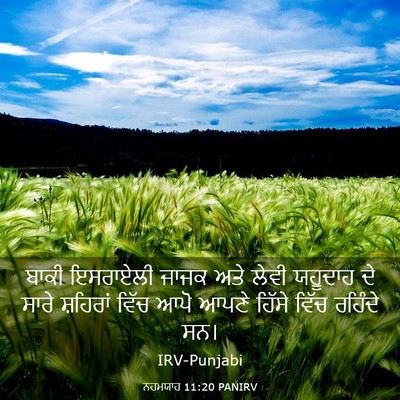 Picture 03 - ਨਹਮਯਾਹ 11:20 PANIRV - ਬਾਕੀ ਇਸਰਾਏਲੀ ਜਾਜਕ - Bible Verse Picture