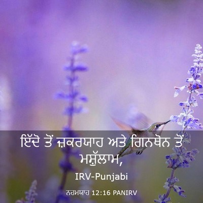 Picture 03 - ਨਹਮਯਾਹ 12:16 PANIRV - ਇੱਦੋ ਤੋਂ ਜ਼ਕਰਯਾਹ - Bible Verse Picture