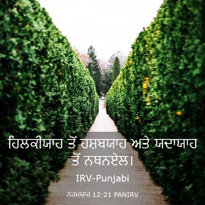 Picture 03 - ਨਹਮਯਾਹ 12:21 PANIRV - ਹਿਲਕੀਯਾਹ ਤੋਂ - Bible Verse Picture