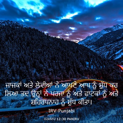 Picture 03 - ਨਹਮਯਾਹ 12:30 PANIRV - ਜਾਜਕਾਂ ਅਤੇ ਲੇਵੀਆਂ - Bible Verse Picture