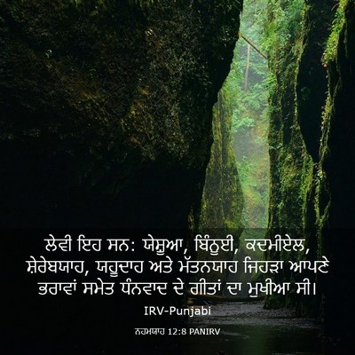 Picture 03 - ਨਹਮਯਾਹ 12:8 PANIRV - ਲੇਵੀ ਇਹ ਸਨ: ਯੇਸ਼ੂਆ, - Bible Verse Picture