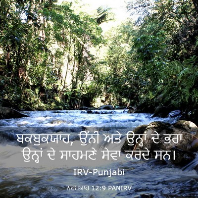 Picture 03 - ਨਹਮਯਾਹ 12:9 PANIRV - ਬਕਬੁਕਯਾਹ, ਉੱਨੀ ਅਤੇ - Bible Verse Picture