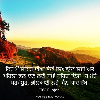 Picture 03 - ਨਹਮਯਾਹ 13:31 PANIRV - ਫਿਰ ਮੈਂ ਲੱਕੜੀ ਦੀਆਂ - Bible Verse Picture