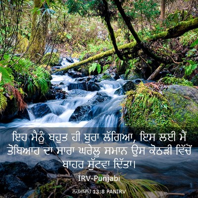 Picture 03 - ਨਹਮਯਾਹ 13:8 PANIRV - ਇਹ ਮੈਨੂੰ ਬਹੁਤ ਹੀ - Bible Verse Picture