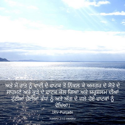 Picture 03 - ਨਹਮਯਾਹ 2:13 PANIRV - ਅਤੇ ਮੈਂ ਰਾਤ ਨੂੰ - Bible Verse Picture