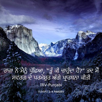 Picture 03 - ਨਹਮਯਾਹ 2:4 PANIRV - ਰਾਜਾ ਨੇ ਮੈਨੂੰ - Bible Verse Picture