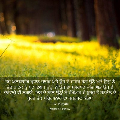 Picture 03 - ਨਹਮਯਾਹ 3:1 PANIRV - ਤਦ ਅਲਯਾਸ਼ੀਬ - Bible Verse Picture