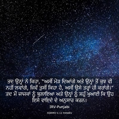 Picture 03 - ਨਹਮਯਾਹ 5:12 PANIRV - ਤਦ ਉਨ੍ਹਾਂ ਨੇ ਕਿਹਾ, - Bible Verse Picture