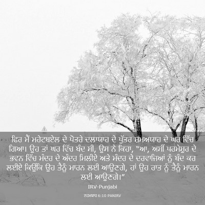 Picture 03 - ਨਹਮਯਾਹ 6:10 PANIRV - ਫਿਰ ਮੈਂ ਮਹੇਟਬਏਲ ਦੇ - Bible Verse Picture