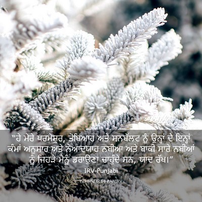 Picture 03 - ਨਹਮਯਾਹ 6:14 PANIRV - “ਹੇ ਮੇਰੇ ਪਰਮੇਸ਼ੁਰ, - Bible Verse Picture