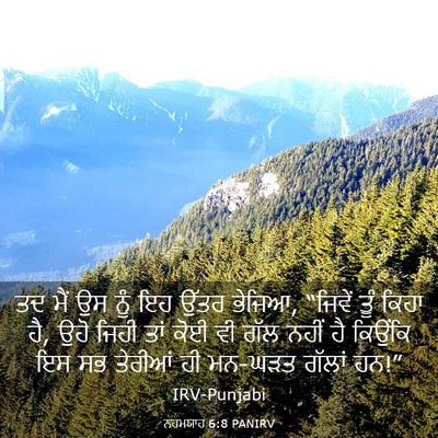 Picture 03 - ਨਹਮਯਾਹ 6:8 PANIRV - ਤਦ ਮੈਂ ਉਸ ਨੂੰ ਇਹ - Bible Verse Picture