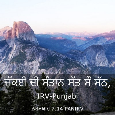 Picture 03 - ਨਹਮਯਾਹ 7:14 PANIRV - ਜ਼ੱਕਈ ਦੀ ਸੰਤਾਨ ਸੱਤ - Bible Verse Picture