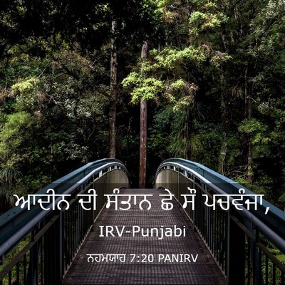Picture 03 - ਨਹਮਯਾਹ 7:20 PANIRV - ਆਦੀਨ ਦੀ ਸੰਤਾਨ ਛੇ ਸੌ - Bible Verse Picture