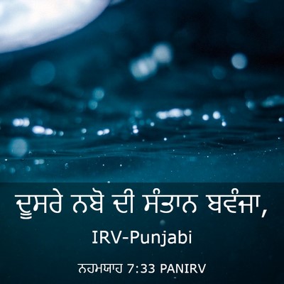 Picture 03 - ਨਹਮਯਾਹ 7:33 PANIRV - ਦੂਸਰੇ ਨਬੋ ਦੀ ਸੰਤਾਨ - Bible Verse Picture