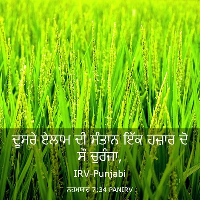 Picture 03 - ਨਹਮਯਾਹ 7:34 PANIRV - ਦੂਸਰੇ ਏਲਾਮ ਦੀ - Bible Verse Picture