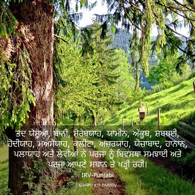 Picture 03 - ਨਹਮਯਾਹ 8:7 PANIRV - ਤਦ ਯੇਸ਼ੂਆ, ਬਾਨੀ, - Bible Verse Picture