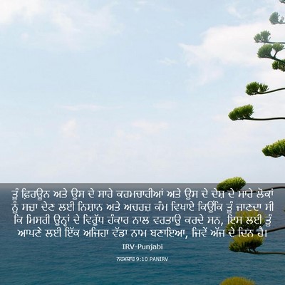Picture 03 - ਨਹਮਯਾਹ 9:10 PANIRV - ਤੂੰ ਫ਼ਿਰਊਨ ਅਤੇ ਉਸ - Bible Verse Picture