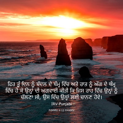 Picture 03 - ਨਹਮਯਾਹ 9:12 PANIRV - ਫਿਰ ਤੂੰ ਦਿਨ ਨੂੰ - Bible Verse Picture