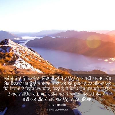 Picture 03 - ਨਹਮਯਾਹ 9:29 PANIRV - ਅਤੇ ਤੂੰ ਉਨ੍ਹਾਂ ਨੂੰ - Bible Verse Picture