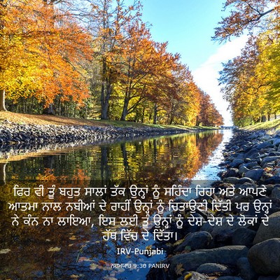 Picture 03 - ਨਹਮਯਾਹ 9:30 PANIRV - ਫਿਰ ਵੀ ਤੂੰ ਬਹੁਤ - Bible Verse Picture