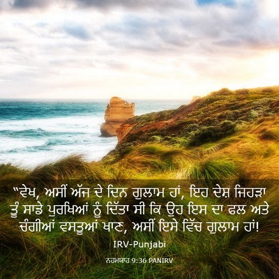 Picture 03 - ਨਹਮਯਾਹ 9:36 PANIRV - “ਵੇਖ, ਅਸੀਂ ਅੱਜ ਦੇ - Bible Verse Picture