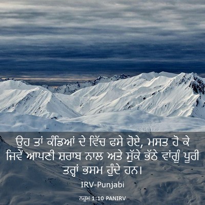 Picture 03 - ਨਹੂਮ 1:10 PANIRV - ਉਹ ਤਾਂ ਕੰਡਿਆਂ ਦੇ - Bible Verse Picture