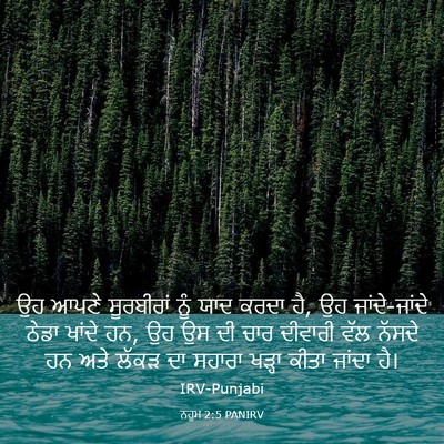 Picture 03 - ਨਹੂਮ 2:5 PANIRV - ਉਹ ਆਪਣੇ ਸੂਰਬੀਰਾਂ - Bible Verse Picture