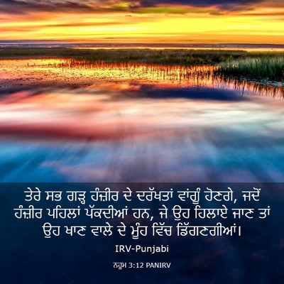 Picture 03 - ਨਹੂਮ 3:12 PANIRV - ਤੇਰੇ ਸਭ ਗੜ੍ਹ - Bible Verse Picture