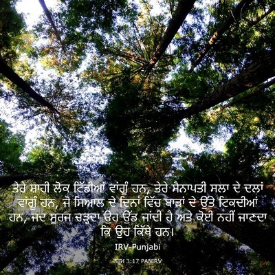 Picture 03 - ਨਹੂਮ 3:17 PANIRV - ਤੇਰੇ ਸ਼ਾਹੀ ਲੋਕ - Bible Verse Picture