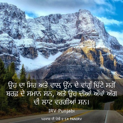 Picture 03 - ਪਰਕਾਸ਼ ਦੀ ਪੋਥੀ 1:14 PANIRV - ਉਹ ਦਾ ਸਿਰ ਅਤੇ ਵਾਲ਼ - Bible Verse Picture