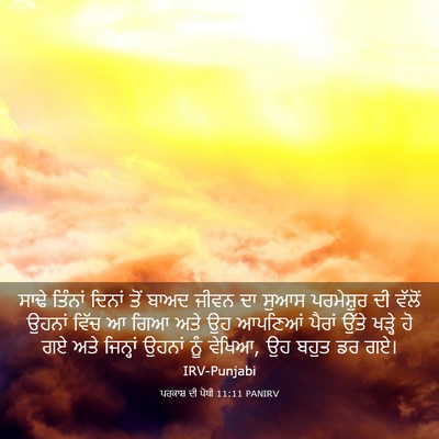 Picture 03 - ਪਰਕਾਸ਼ ਦੀ ਪੋਥੀ 11:11 PANIRV - ਸਾਢੇ ਤਿੰਨਾਂ ਦਿਨਾਂ - Bible Verse Picture