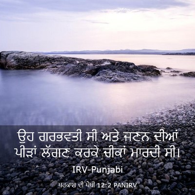 Picture 03 - ਪਰਕਾਸ਼ ਦੀ ਪੋਥੀ 12:2 PANIRV - ਉਹ ਗਰਭਵਤੀ ਸੀ ਅਤੇ - Bible Verse Picture