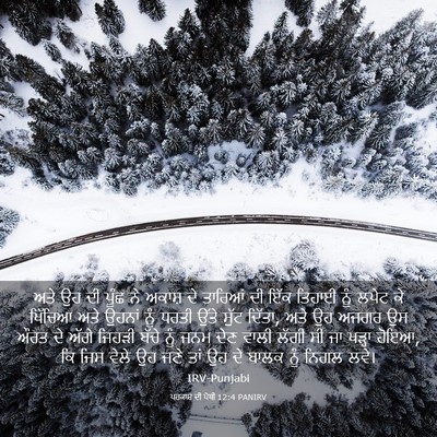 Picture 03 - ਪਰਕਾਸ਼ ਦੀ ਪੋਥੀ 12:4 PANIRV - ਅਤੇ ਉਹ ਦੀ ਪੂੰਛ ਨੇ - Bible Verse Picture