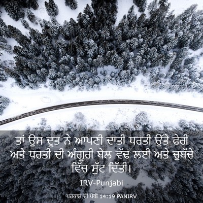 Picture 03 - ਪਰਕਾਸ਼ ਦੀ ਪੋਥੀ 14:19 PANIRV - ਤਾਂ ਉਸ ਦੂਤ ਨੇ ਆਪਣੀ - Bible Verse Picture