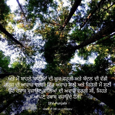 Picture 03 - ਪਰਕਾਸ਼ ਦੀ ਪੋਥੀ 14:2 PANIRV - ਅਤੇ ਮੈਂ ਬਾਹਲੇ - Bible Verse Picture