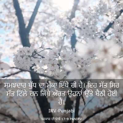 Picture 03 - ਪਰਕਾਸ਼ ਦੀ ਪੋਥੀ 17:9 PANIRV - ਸਮਝਦਾਰ ਬੁੱਧ ਦਾ - Bible Verse Picture