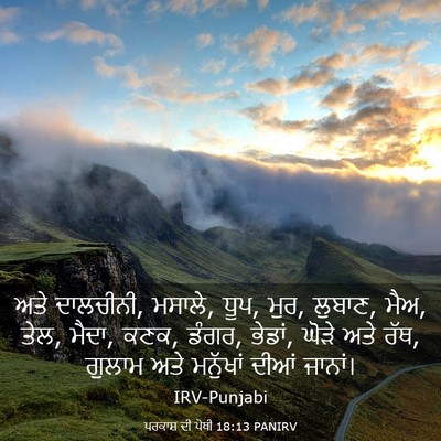 Picture 03 - ਪਰਕਾਸ਼ ਦੀ ਪੋਥੀ 18:13 PANIRV - ਅਤੇ ਦਾਲਚੀਨੀ, ਮਸਾਲੇ, - Bible Verse Picture