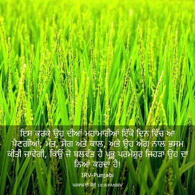 Picture 03 - ਪਰਕਾਸ਼ ਦੀ ਪੋਥੀ 18:8 PANIRV - ਇਸ ਕਰਕੇ ਉਹ ਦੀਆਂ - Bible Verse Picture