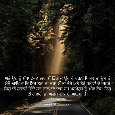 Picture 03 - ਪਰਕਾਸ਼ ਦੀ ਪੋਥੀ 19:10 PANIRV - ਅਤੇ ਉਹ ਨੂੰ ਮੱਥਾ - Bible Verse Picture