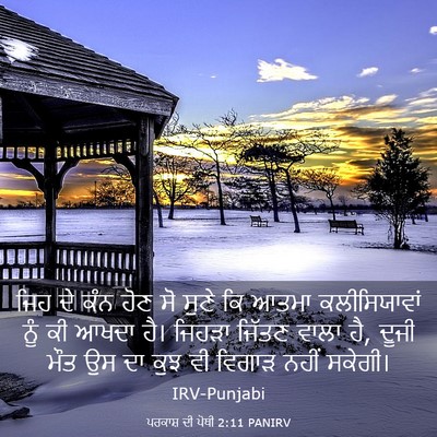 Picture 03 - ਪਰਕਾਸ਼ ਦੀ ਪੋਥੀ 2:11 PANIRV - ਜਿਹ ਦੇ ਕੰਨ ਹੋਣ ਸੋ - Bible Verse Picture