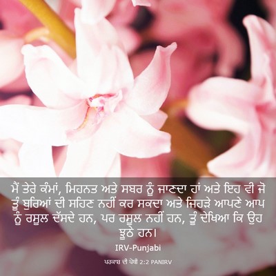 Picture 03 - ਪਰਕਾਸ਼ ਦੀ ਪੋਥੀ 2:2 PANIRV - ਮੈਂ ਤੇਰੇ ਕੰਮਾਂ, - Bible Verse Picture